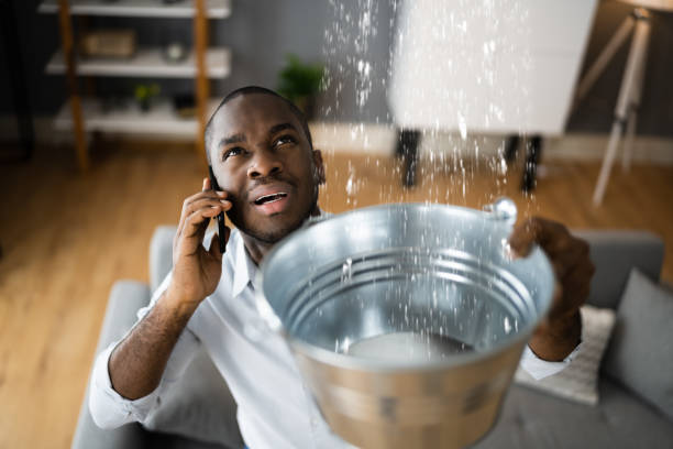 Best Basement water damage restoration  in Powder Springs, GA