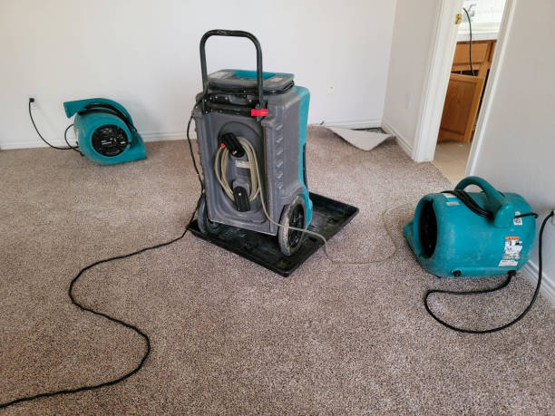 Best Flood restoration services  in Powder Springs, GA