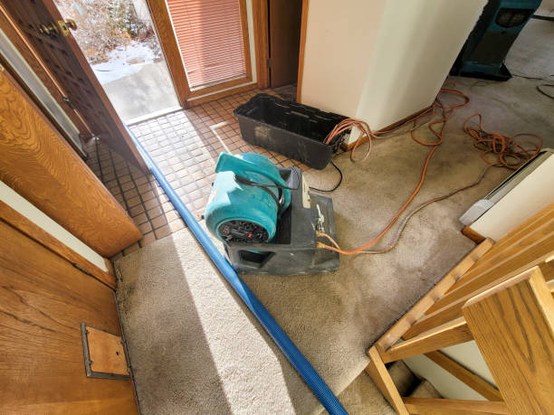 Best Commercial water damage restoration  in Powder Springs, GA