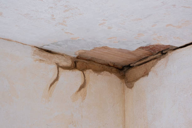  Powder Springs, GA Water damage restoration Pros