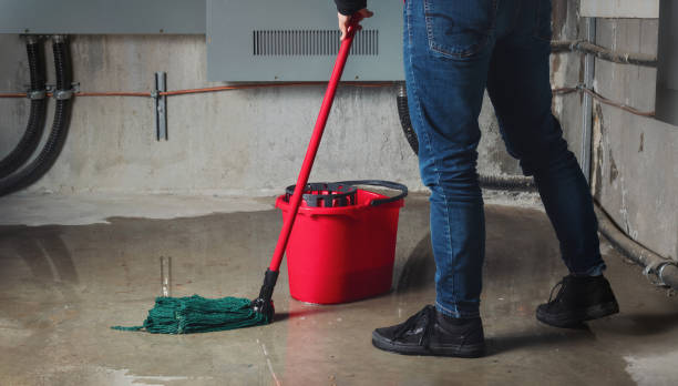 Best Flooded house restoration  in Powder Springs, GA