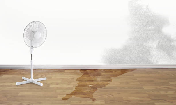 Best 24-hour water damage restoration  in Powder Springs, GA