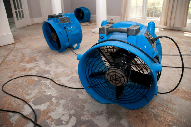 Best 24-hour water damage restoration  in Powder Springs, GA