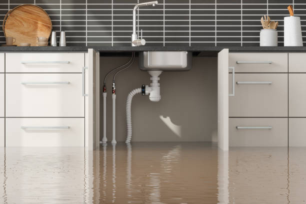 Best Water damage contractors near me  in Powder Springs, GA