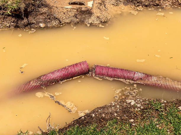 Best Basement water damage restoration  in Powder Springs, GA