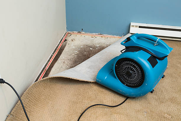Best Water damage restoration experts  in Powder Springs, GA